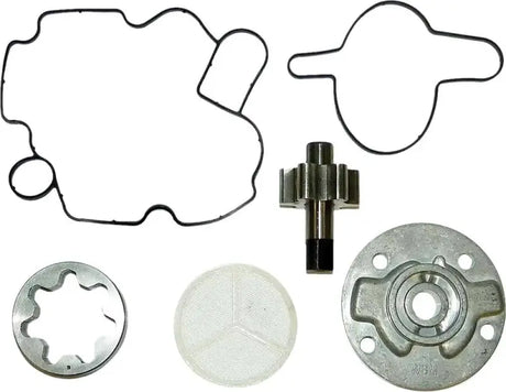 WSM 010-1210 Oil Pump Rebuild Kit S D S D 4 Tec Secondary Frt