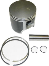 010-819-04PK Piston Platinum S D 951