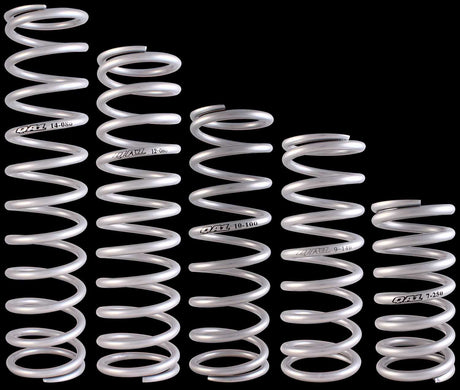 10HTSP450 Coil Over Shock Absorber Spring