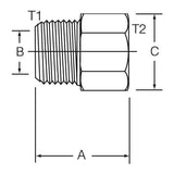 145588 Adapter Fitting