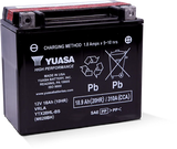 Yuasa YTX20HL-BS High Performance AGM Battery for RV, automotive, powersports, off-road, marine, exterior truck accessories, interior, truck bed, RV parts, apparel, helmets, racing, riding, BMX.