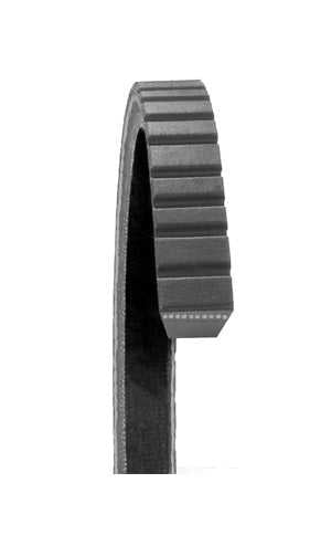 17770 Accessory Drive Belt