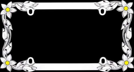 19130 Cruiser License Plate Frame Daisy