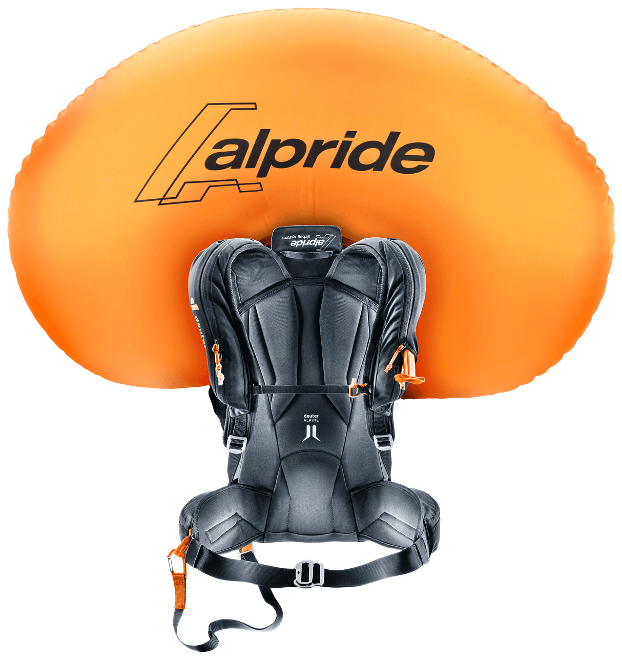 331212570000 Deuter Alproof Ride 18 Black - RV and Auto Parts