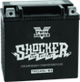 Twin Power YTX-14L Shocker Battery Replaces H-D 65958-04 - RV and Auto Parts