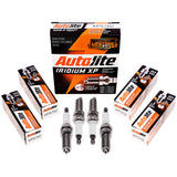 XP5702 Autolite Spark Plug - Iridium