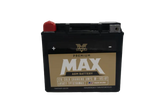 Twin Power GYZ-20H Premium MAX Battery Replaces H-D 65991-82B Made in USA