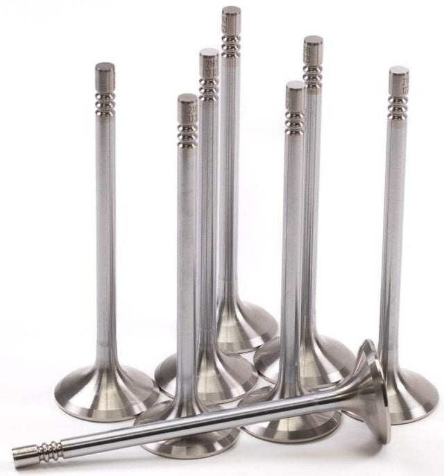 GSC P-D Ford Mustang 5.0L Coyote Gen 3 33mm Head (+1mm) Chrome Polished Exhaust Valve - Set of 8 - RV and Auto Parts