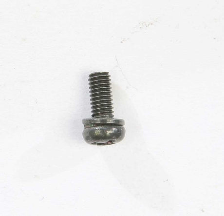 CW2=0307-G Screw W/Washer