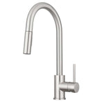 DF-NMK530-SN Faucet