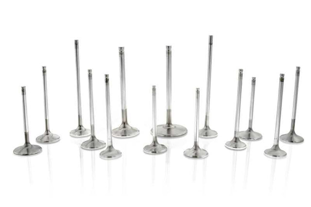 Ferrea F1952P Ferrea Honda F20C 31mm 5.46mm 109mm 22 Deg Flo Stock Competition Plus Exhaust Valve - Set of 8