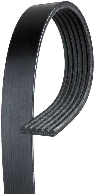 DK060472 Serpentine Belt