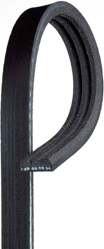 K030250SF Serpentine Belt