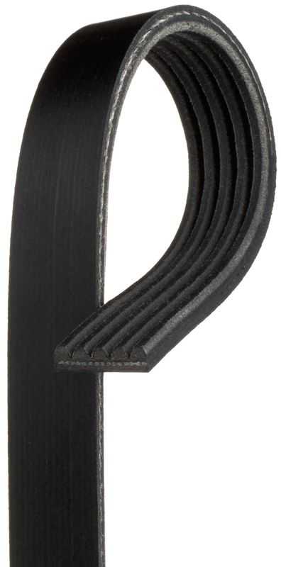 K050264SF Serpentine Belt