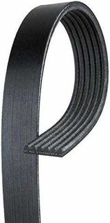 K060824 Serpentine Belt