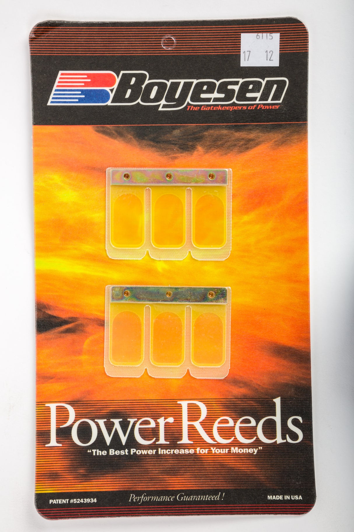 6115 Boyesen Motorcycle Reeds