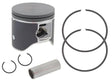 SM-09288A Sp1 Piston T-Moly Dual Ring Pol - RV and Auto Parts