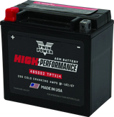 Twin Power YTX14 High Performance Battery Replaces H-D 65948-00 Made in USA - RV and Auto Parts