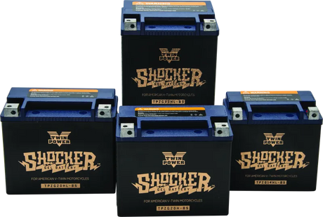 Twin Power YTX-14L Shocker Gel Battery Replaces H-D 65958-04 - RV and Auto Parts