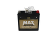 Twin Power GYZ-16HL Premium MAX Battery Replaces H-D 65958-04 Made in USA - RV and Auto Parts