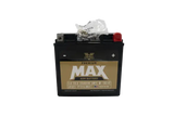 Twin Power GYZ-16HL Premium MAX Battery Replaces H-D 65958-04 Made in USA - RV and Auto Parts