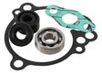 WPK0030 Water Pump Kit Kaw Kx65 