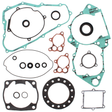 VERTEX Complete Gasket Set With Oil Seals for Powersports