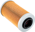 006-560 Oil Filter Sea/Ski 