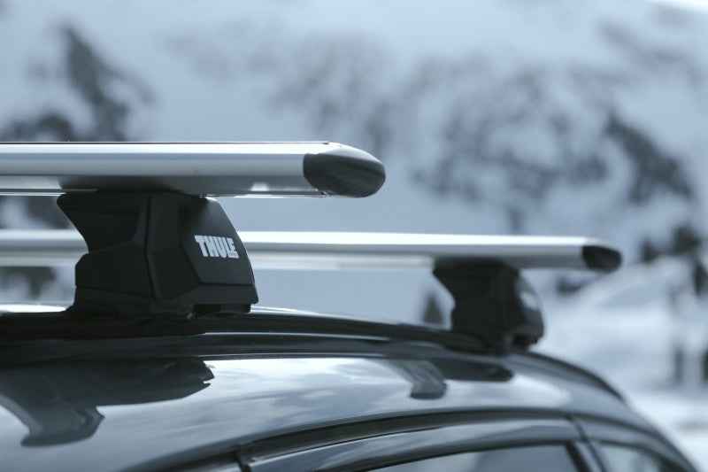 Thule 710601