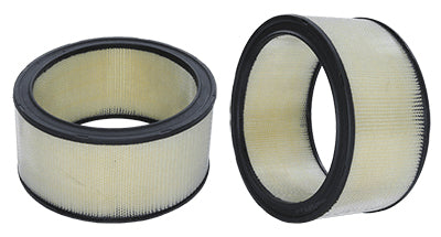 46220 Air Filter