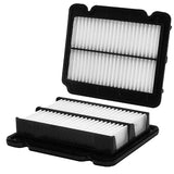 42831 Air Filter