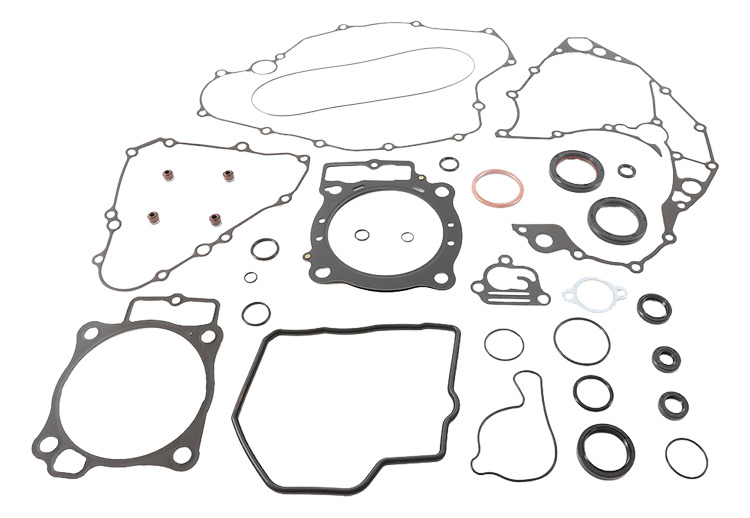 Complete Gasket Set With Oil Seals 