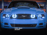 Raxiom 13-14 Ford Mustang GT CCFL Halo Fog Lights (Smoked)