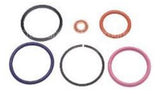 SK55 Fuel Injector Seal Kit