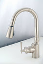 SL2000N Faucet