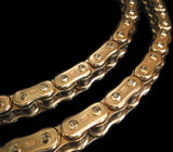 520GP3D-120G Chain Gp 3d Sx2 Ring 520 120l Gld